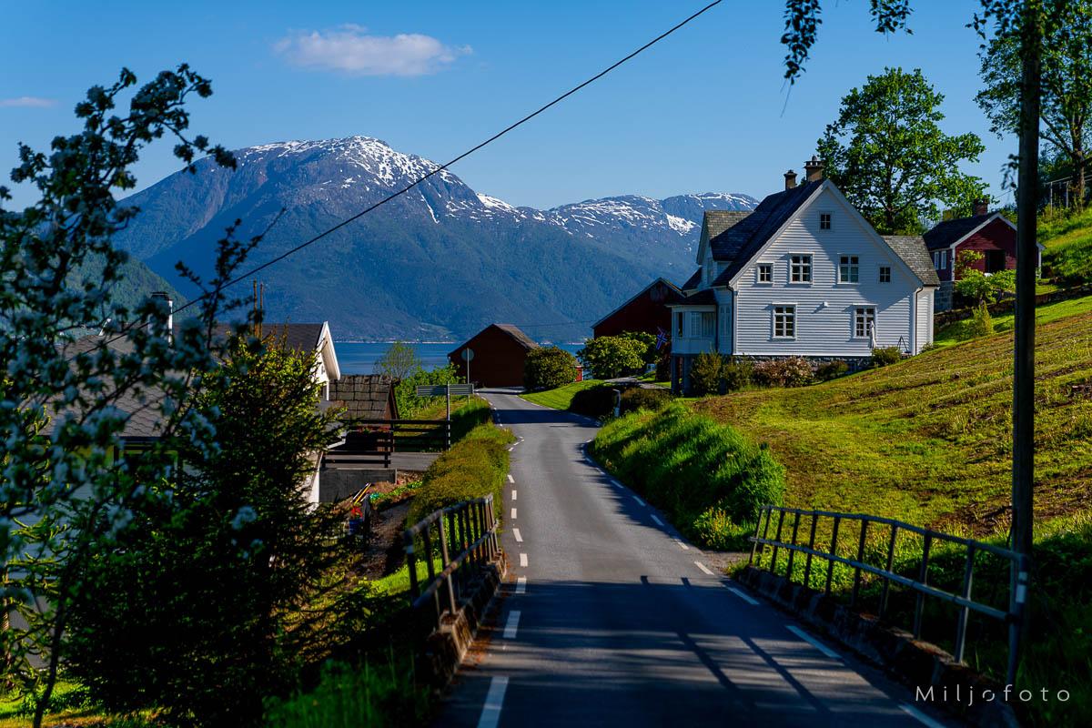 Hardanger (9)