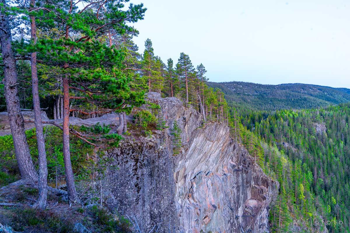 Ravnejuv (4) Ravnejuv (4)