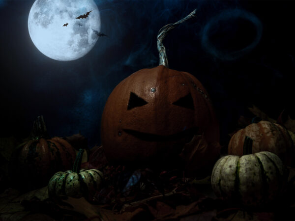 Halloween bilde