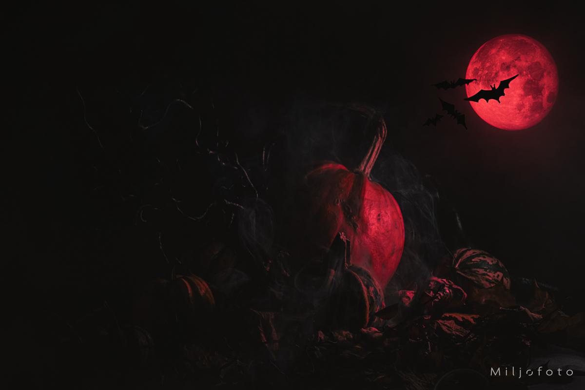 Halloween (1)