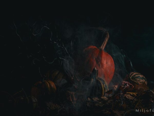 Halloween (2)