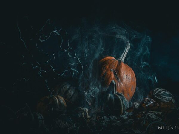 Halloween (4)