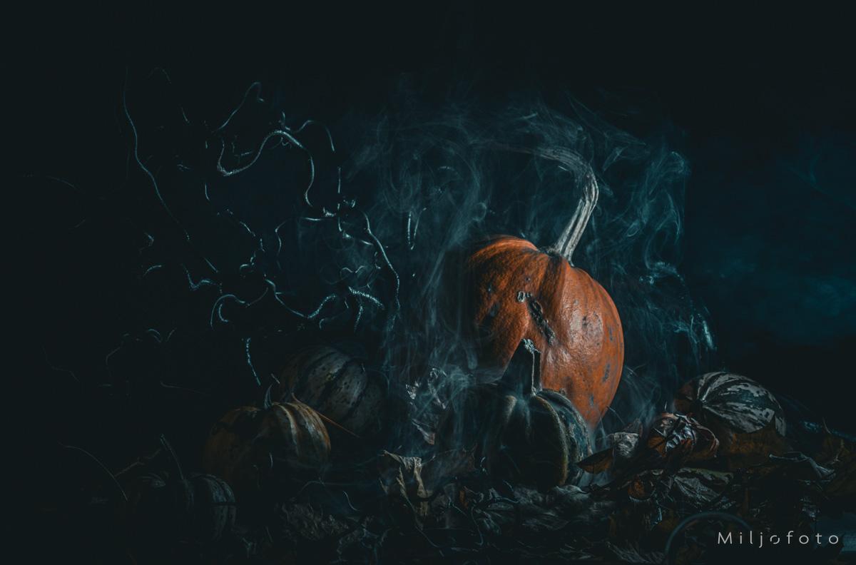 Halloween (4)