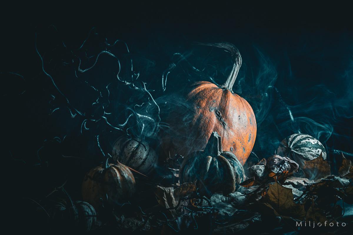 Halloween (8) Halloween (8)