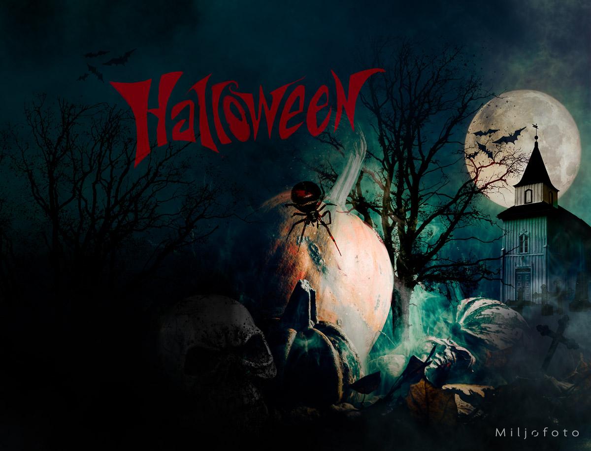Halloween bilde (3)