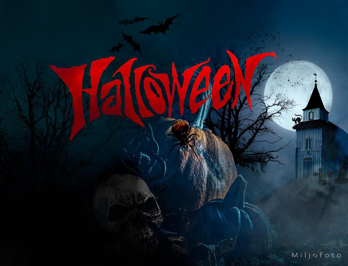 Halloween bilde (6) Halloween bilde (6)