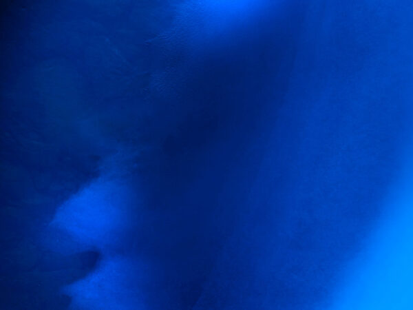 Vinter