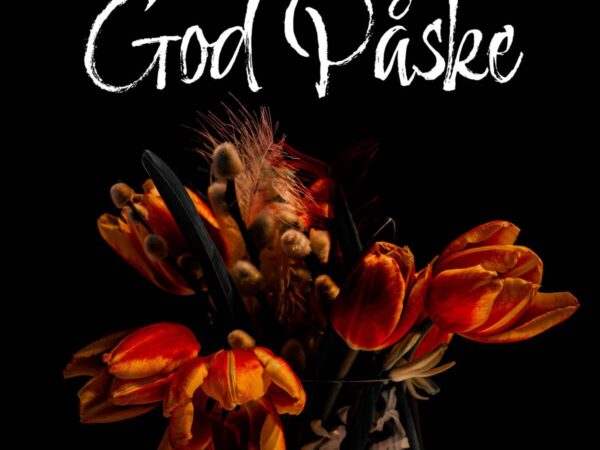 Tulipaner til påske