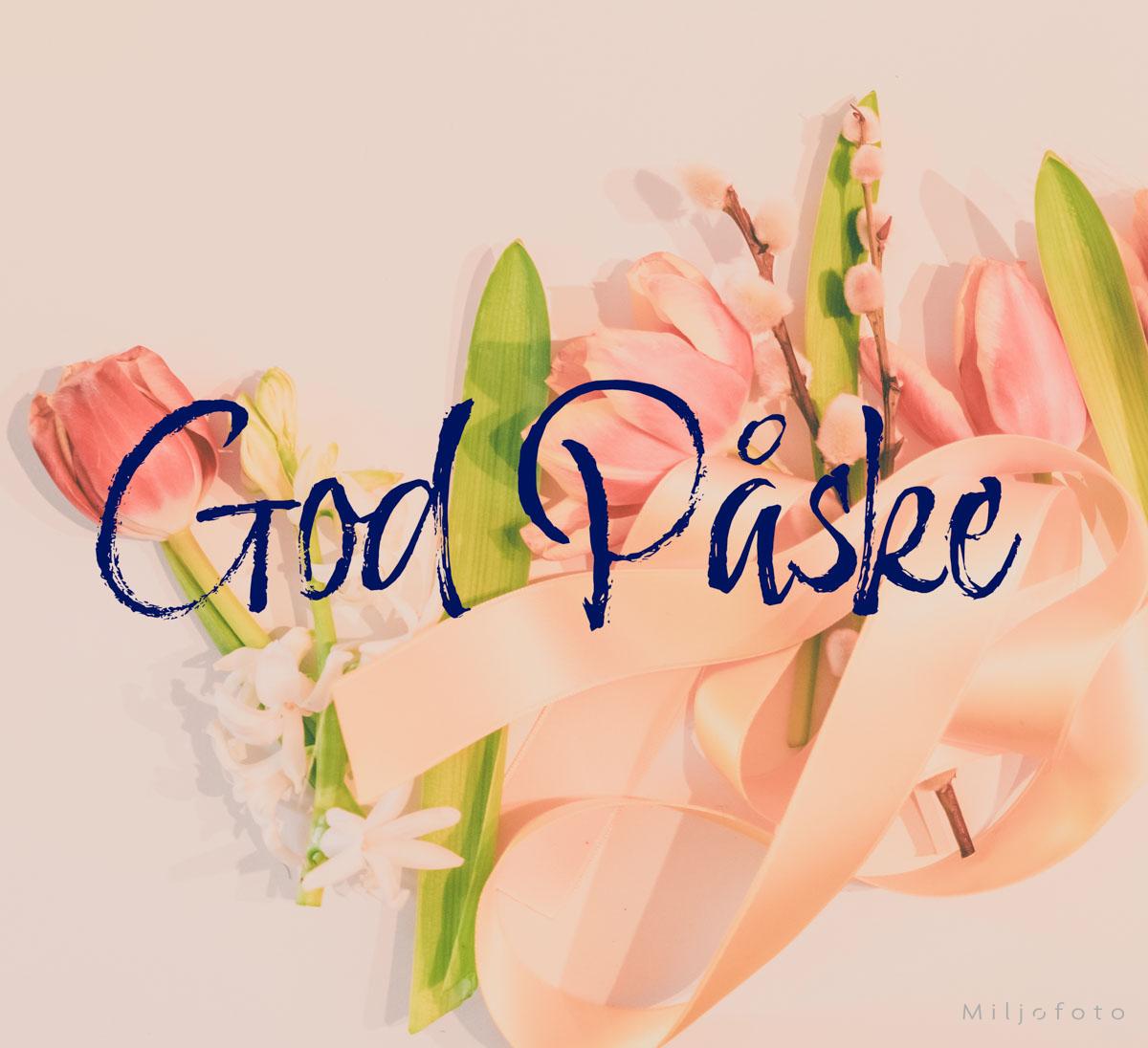 Påskemotiv rosa Påskemotiv rosa