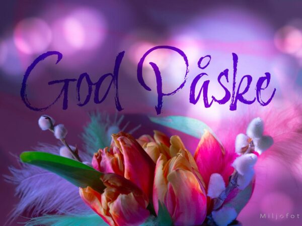God Påske - Lilla