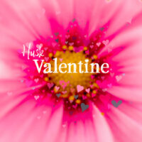 Husk Valentines