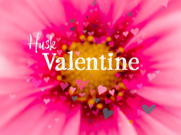 Husk Valentines