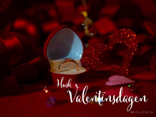 Valentinsdagen (1)