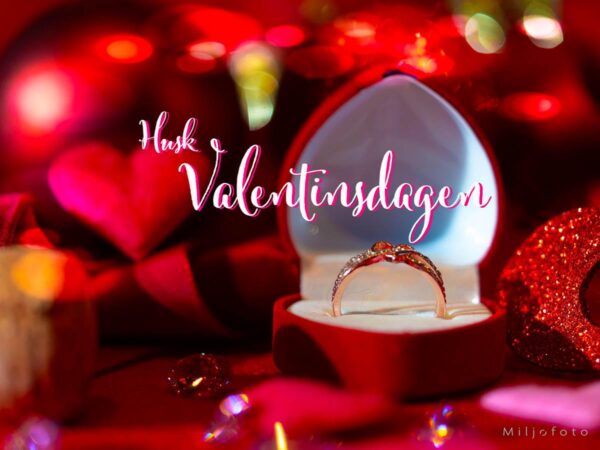 Valentinsdagen (13)