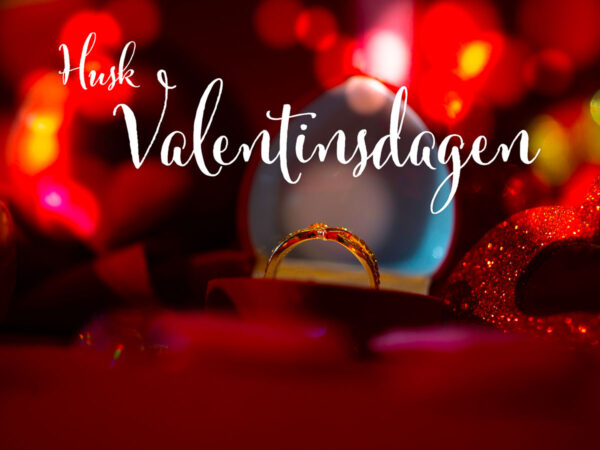 Valentinsdagen (14)