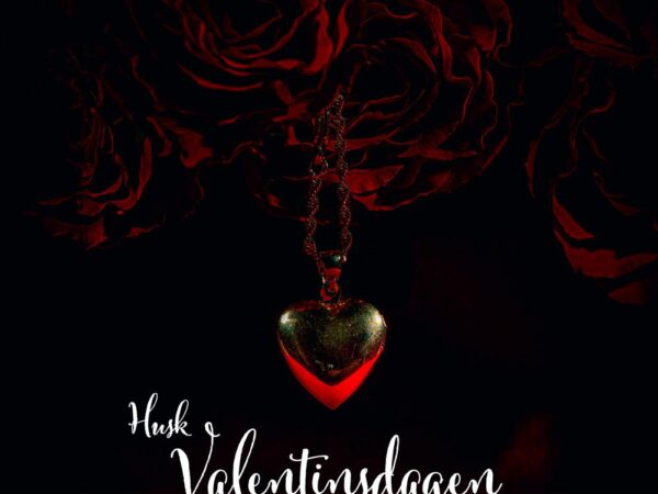 Valentinsdagen (19)