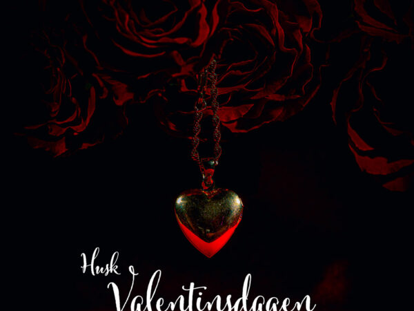 Valentinsdagen (19)