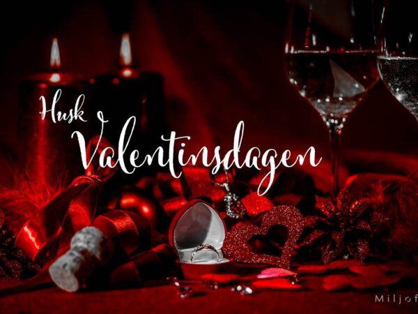 Valentinsdagen (2)