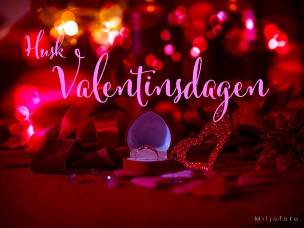 Valentinsdagen (5)