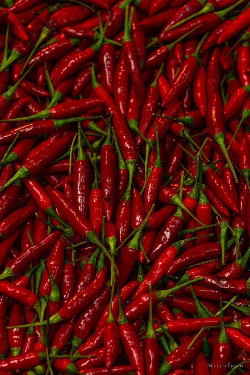 Chili Buena Mulata (80 000-100 000 scv)