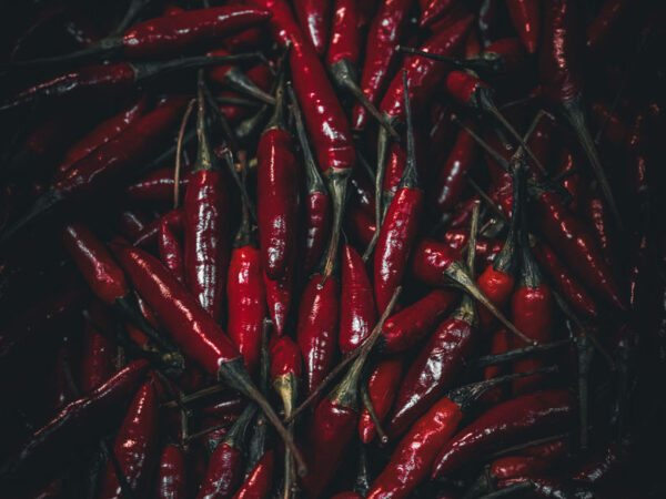 Chili Mulata (80 000-100 000 scv)