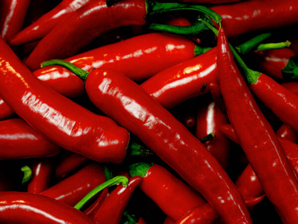 Chilipepper