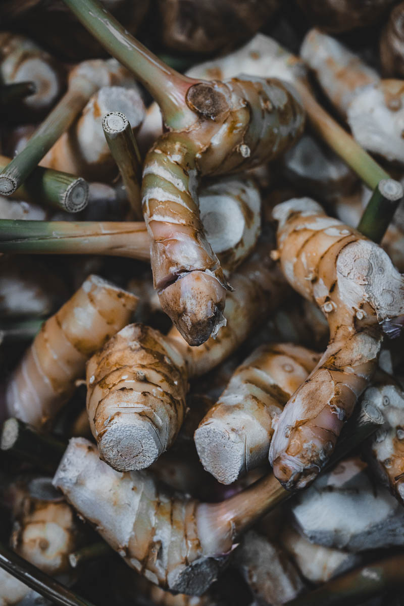 Galangal