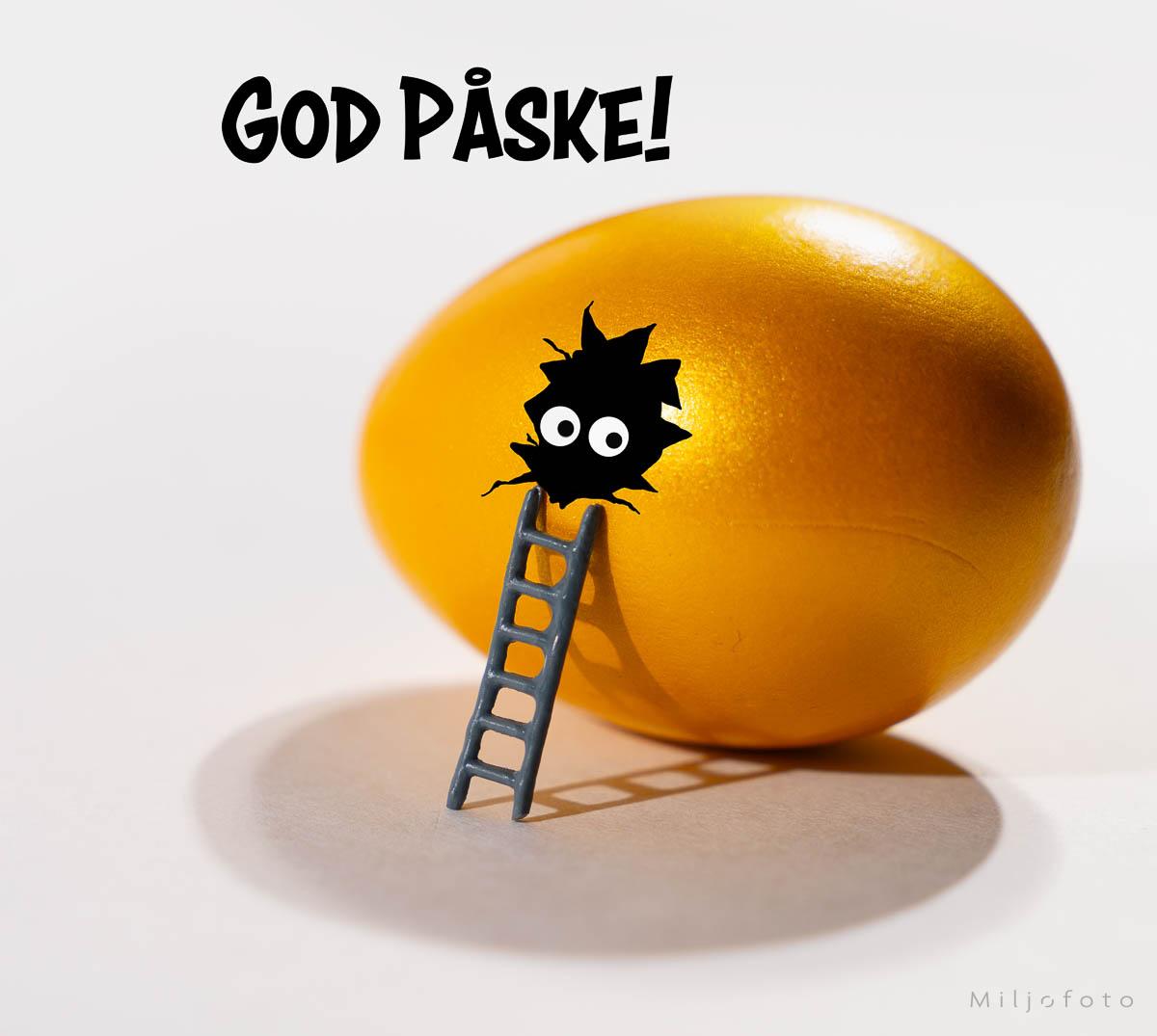 Påskeegg - påske