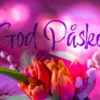 God påske i rosa