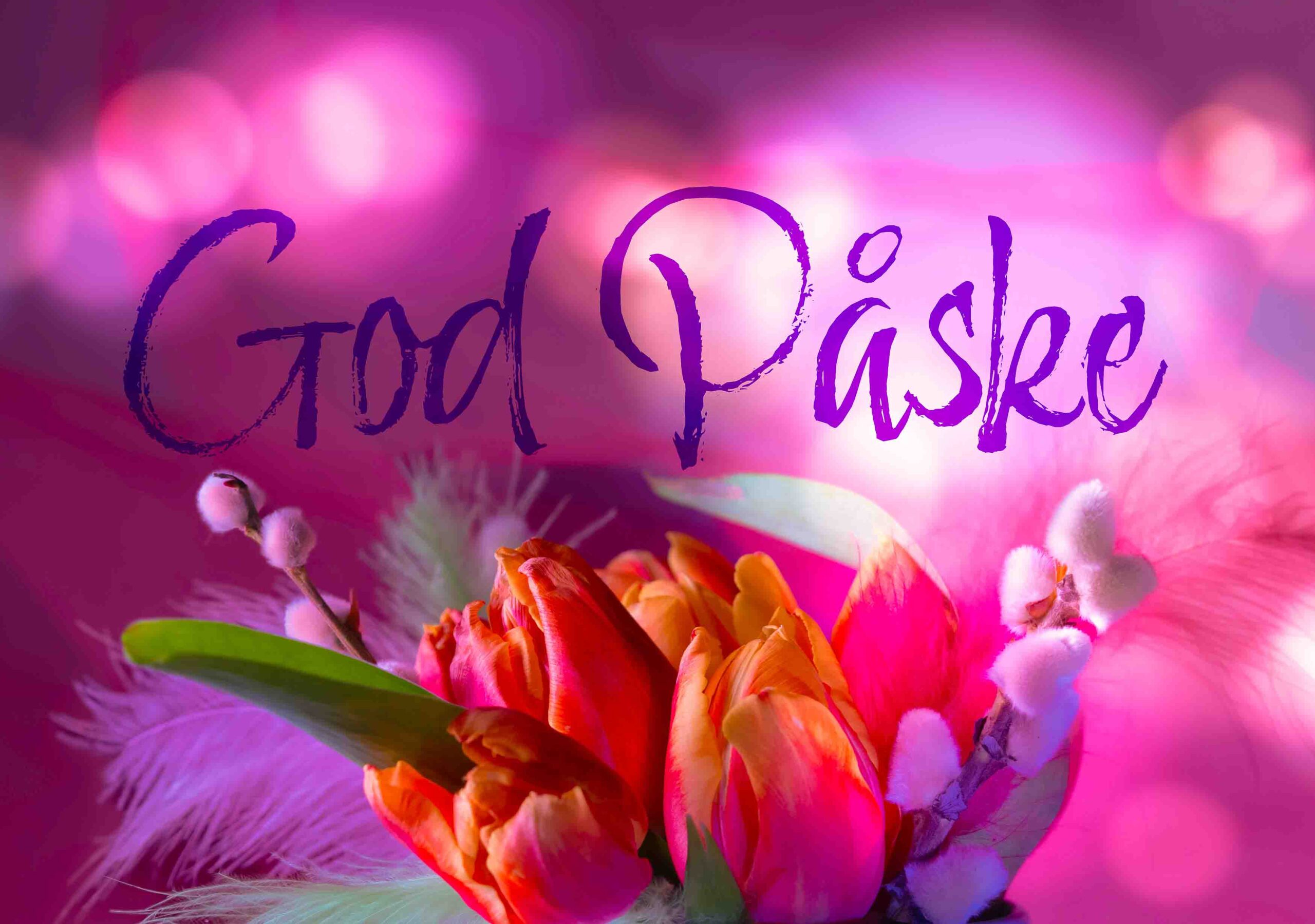 God påske i rosa