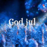 God Jul i blå, rimdekket kongle med fargene blå og orange.