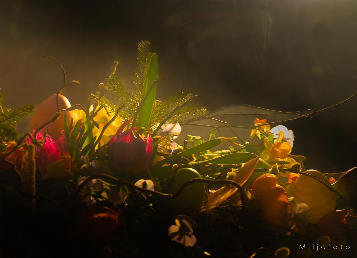 Dekorasjon Dekorasjon