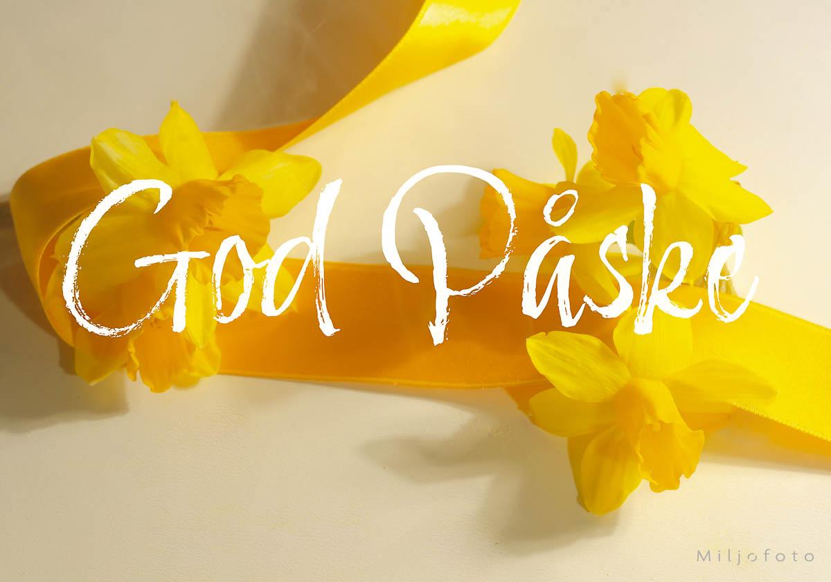 Gult påskebilde - Påske