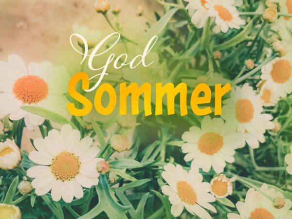 God sommer bilde