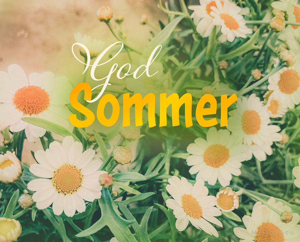 God sommer bilde