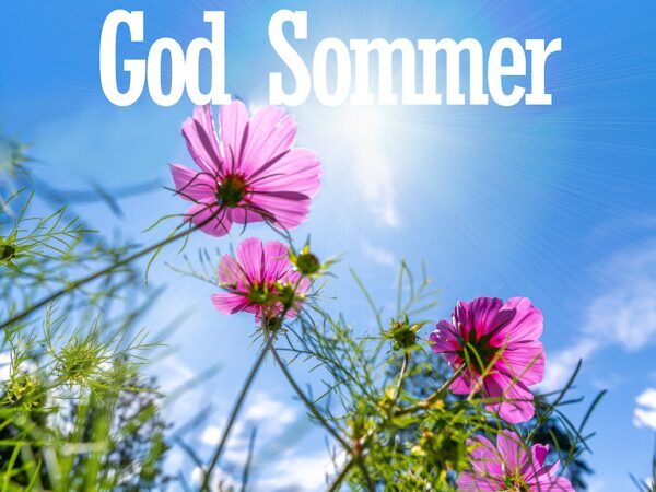 God Sommer i engen