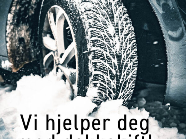 Dekkskift - Vinter