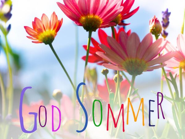 Masse farger i en fin sommerhilsen