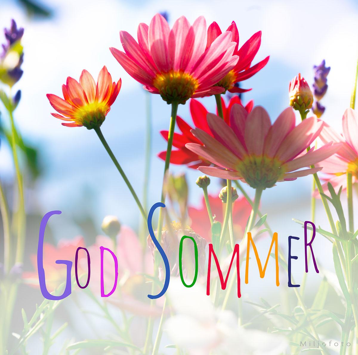 Masse farger i en fin sommerhilsen