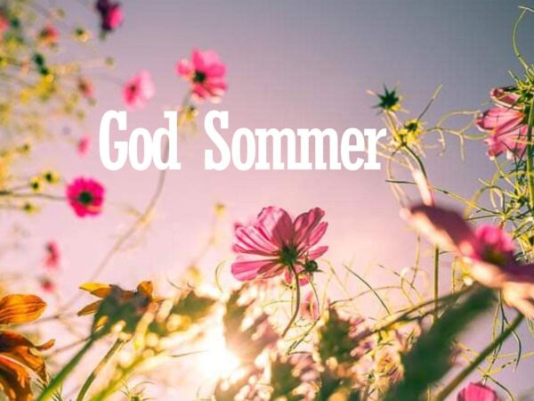 "Fargerike blomster i sollys med teksten 'God Sommer' på rosa himmelbakgrunn."