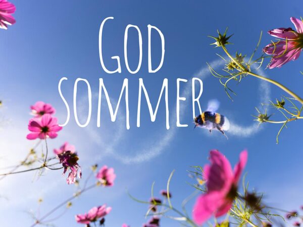 Sommerbilde med rosa blomster, blå himmel, en flyvende humle og teksten "GOD SOMMER".
