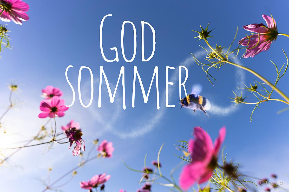 God Sommer (13) Sommerbilde med rosa blomster, blå himmel, en flyvende humle og teksten "GOD SOMMER".