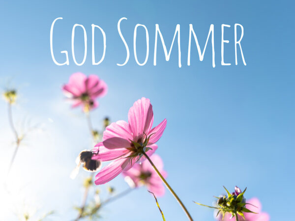 Rosa blomster mot en blå himmel med teksten 'God Sommer' og en bie som sitter på en blomst.