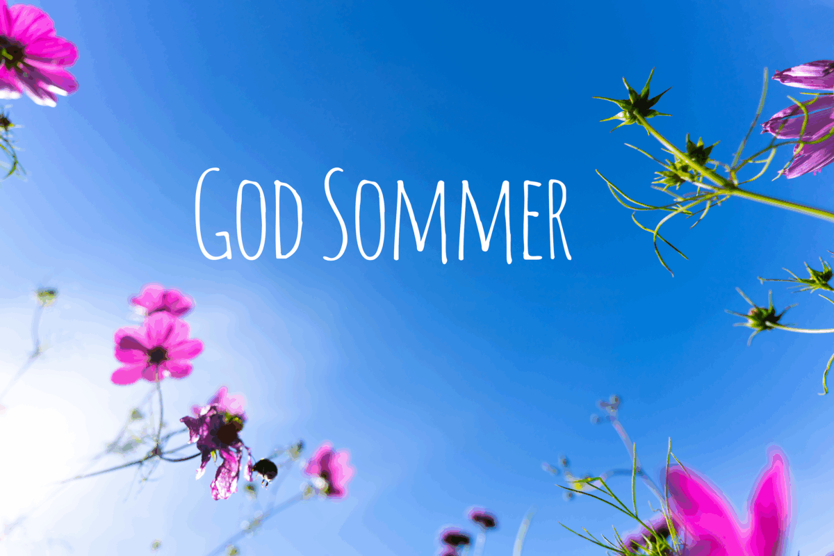 God Sommer (17) God Sommer (17)
