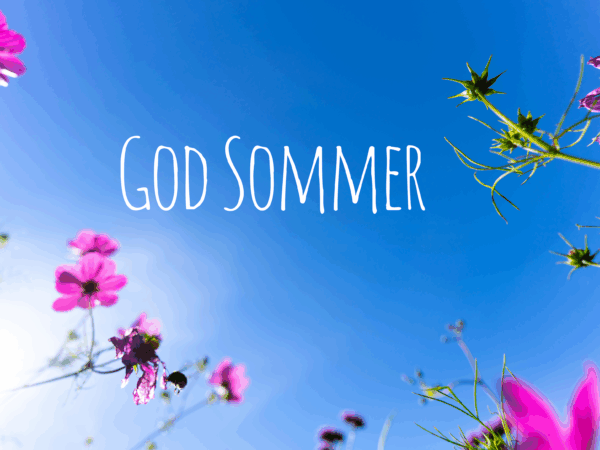 God Sommer (17)