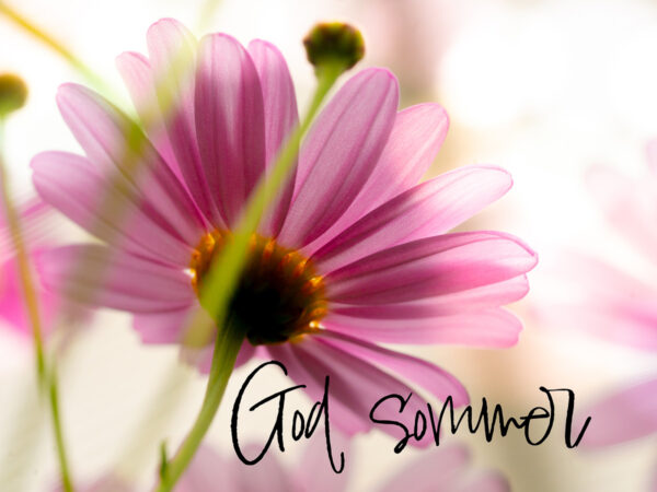 God Sommer - Blomster