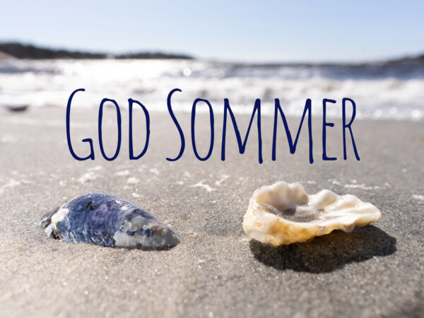 Et blåskjell og en østers ligger på en strand i solen, i bakgrunn ser du bølger som skyller mot de