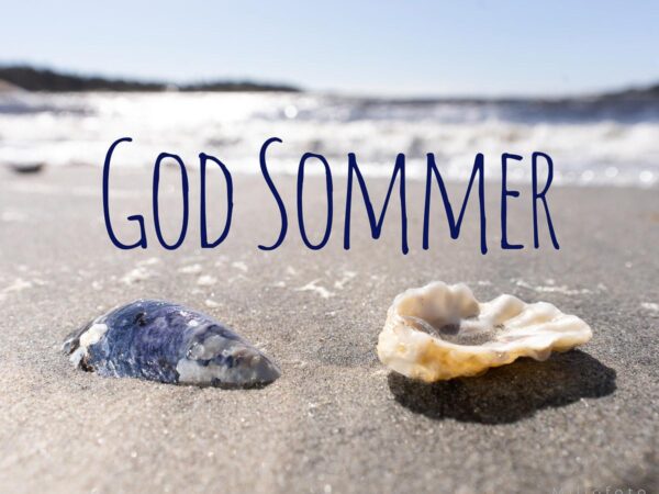 Et blåskjell og en østers ligger på en strand i solen, i bakgrunn ser du bølger som skyller mot de