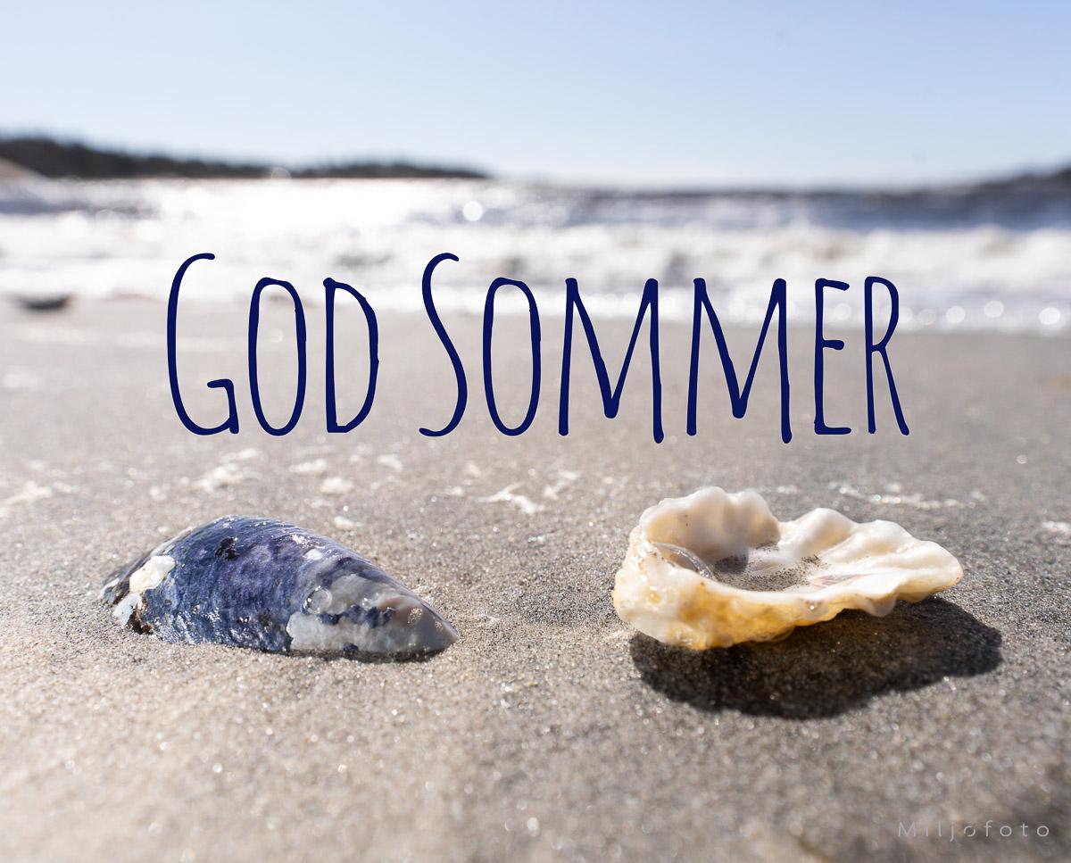 God Sommer (2)