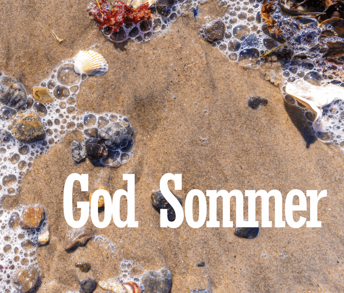 God Sommer (20)